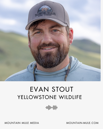 Guiding the Wild: Evan Stout on Yellowstone Wildlife, Bears, and Big-Picture Conservation